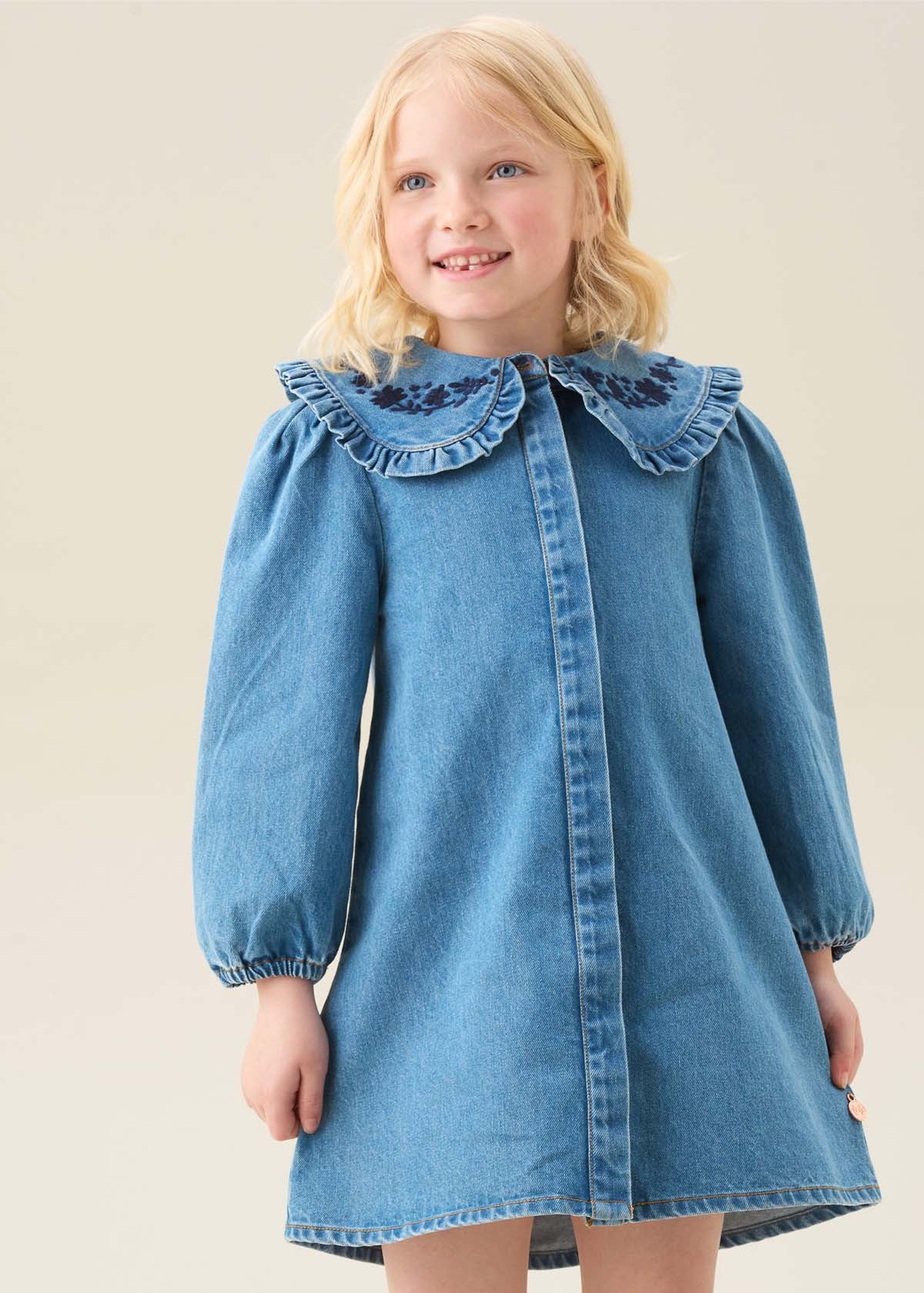 Aria Denim Embroidered Collar Dress