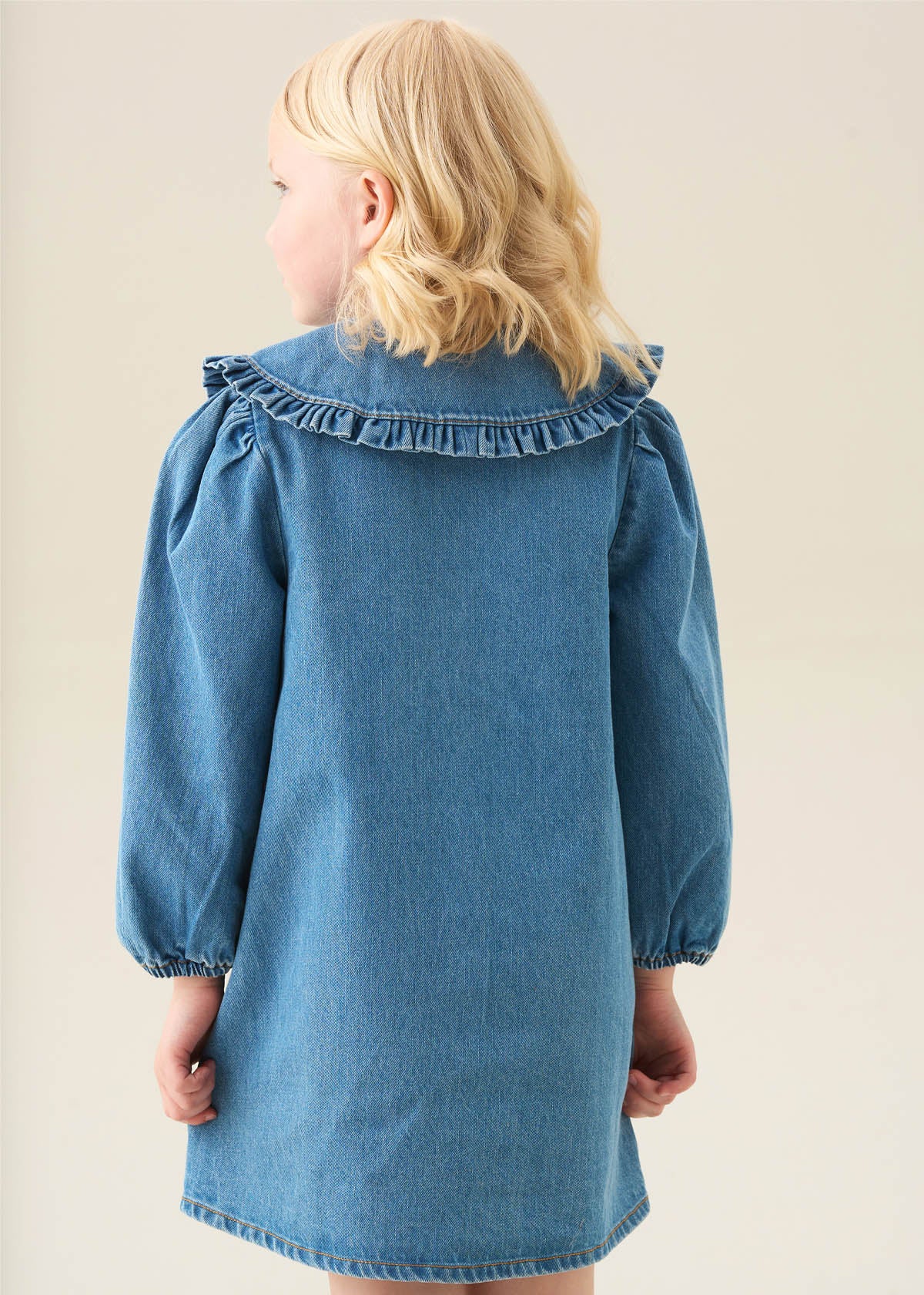 Aria Denim Embroidered Collar Dress