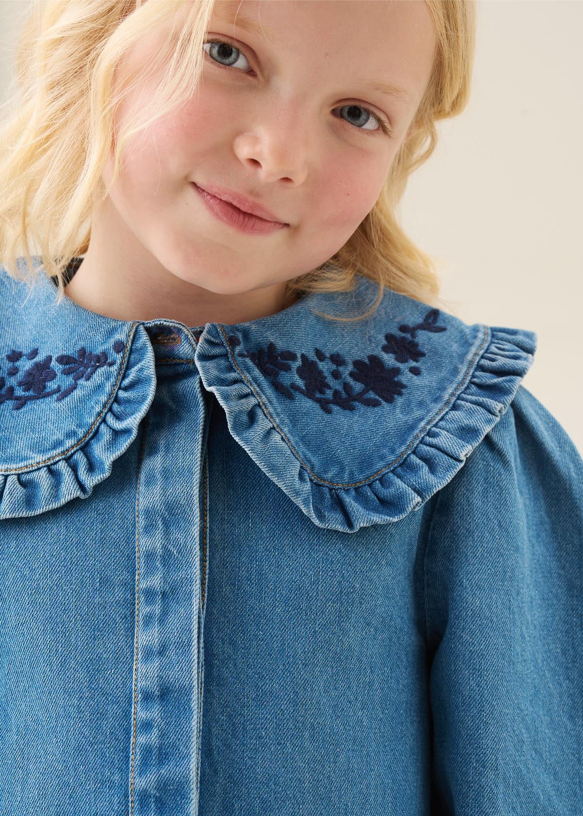 Aria Denim Embroidered Collar Dress