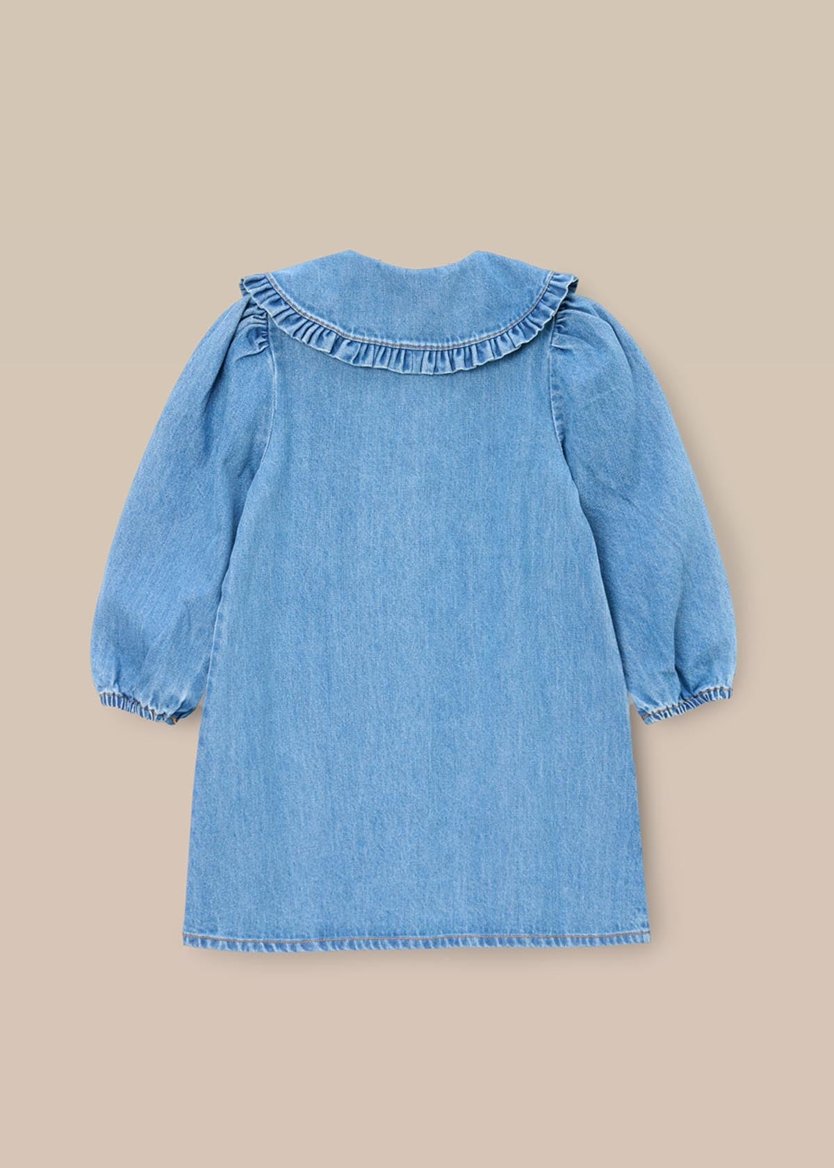 Aria Denim Embroidered Collar Dress