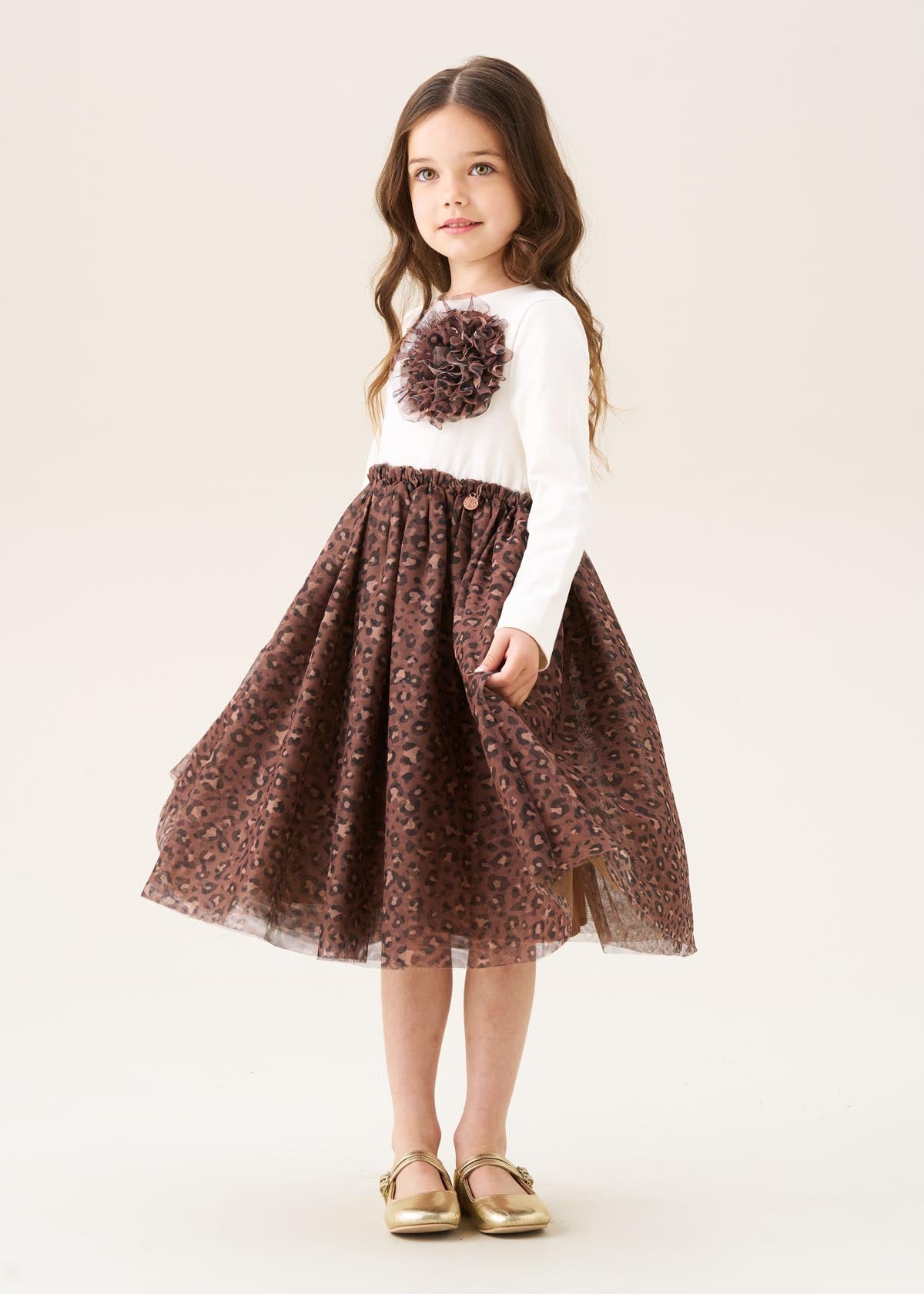 Carrie Corsage Mesh Dress