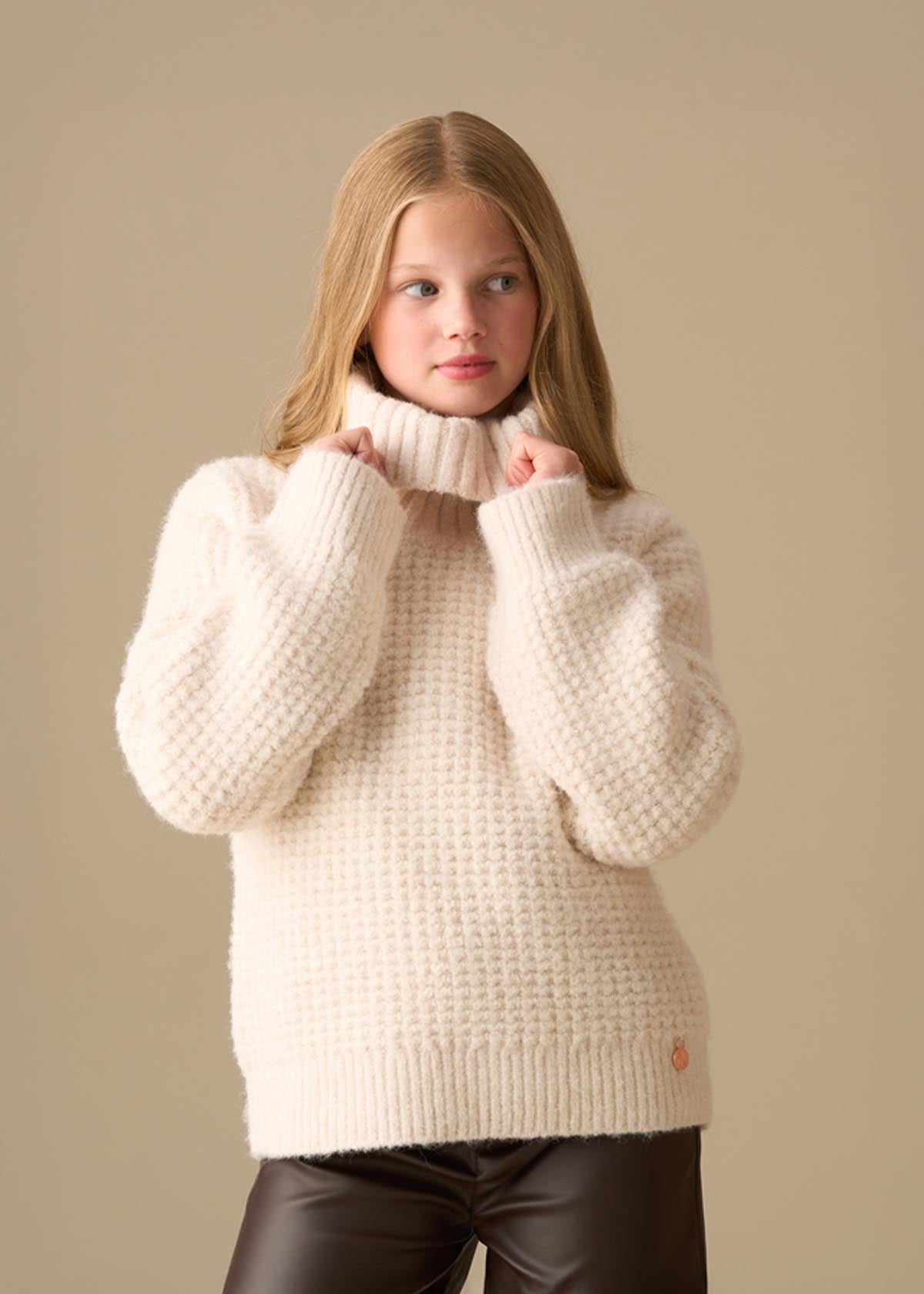 Girl Chunky Rollneck Jumper