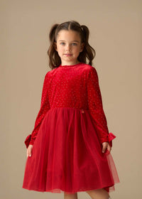 Elsie Velvet Tulle Dress
