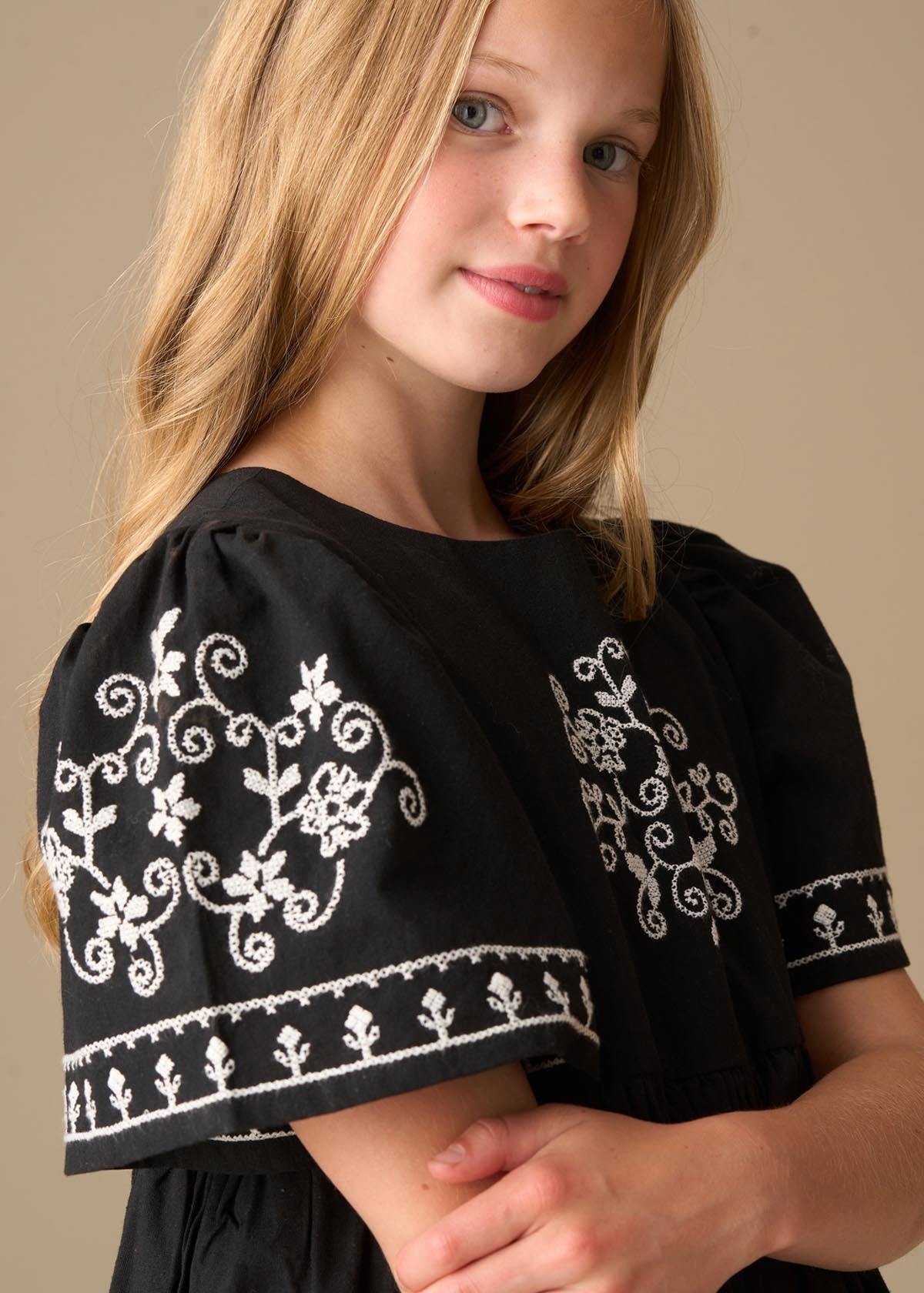 Reyna Black Embroidered Swing Dress