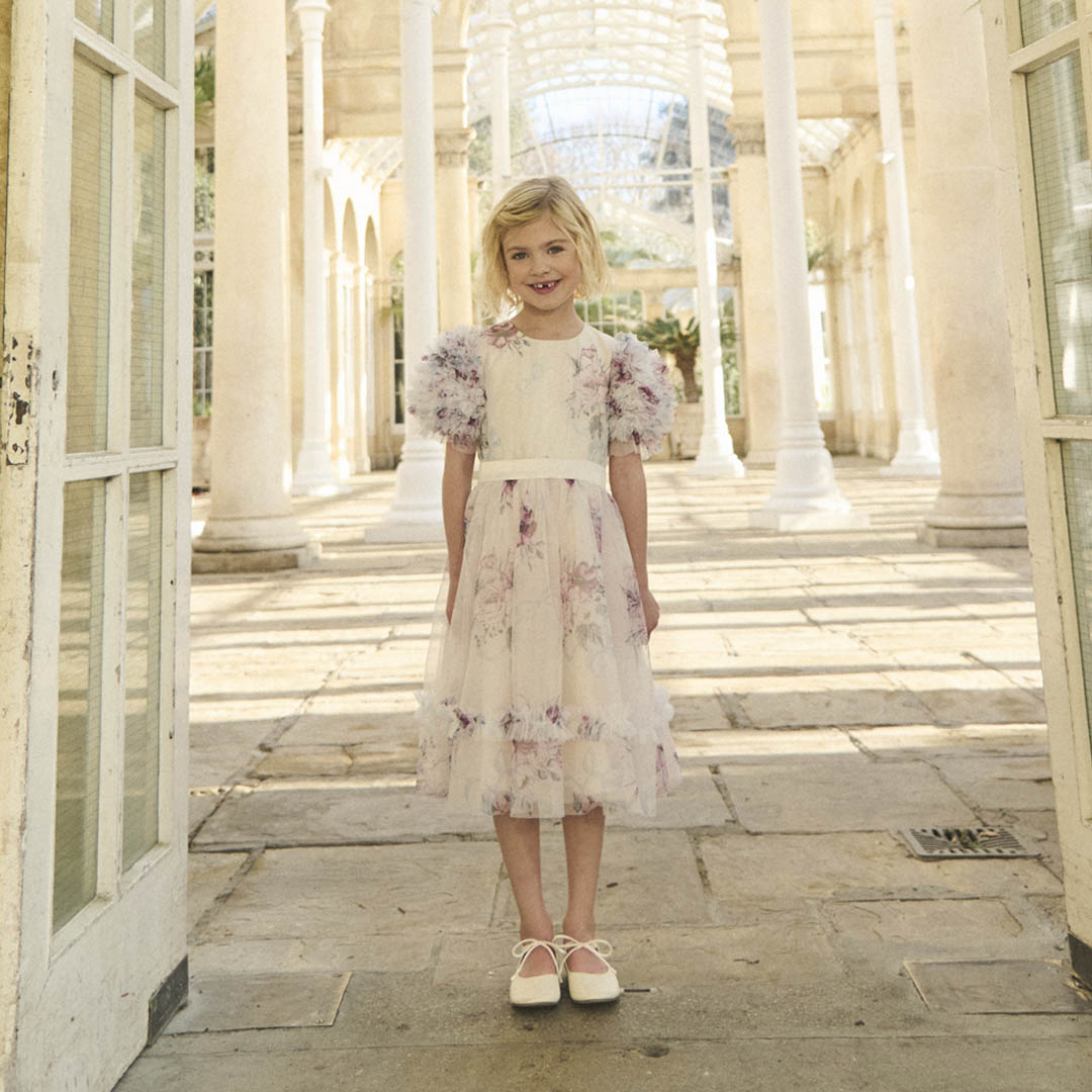 Florence Blush Pink Ruffle Sleeve Mesh Dress