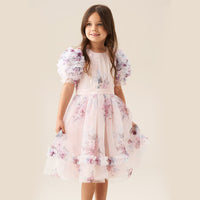 Florence Blush Ruffle Sleeve Mesh Dress