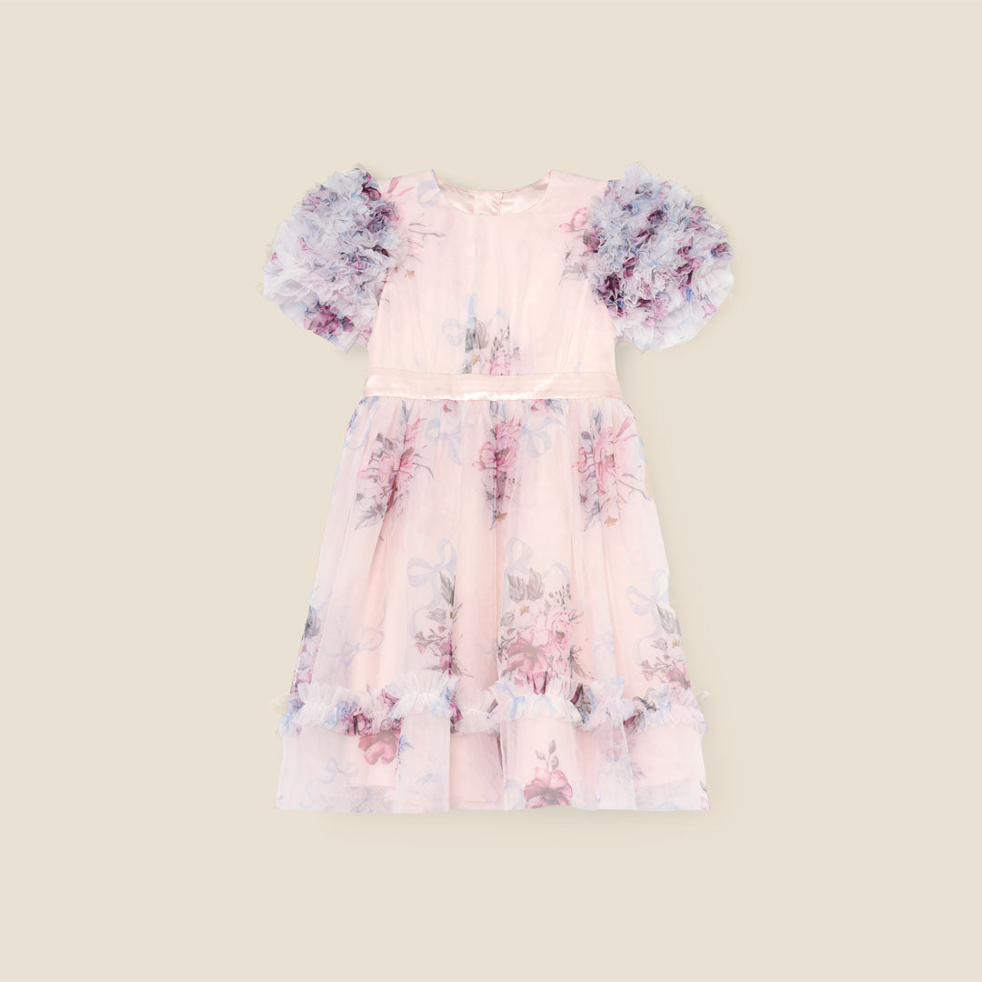 Florence Blush Pink Ruffle Sleeve Mesh Dress