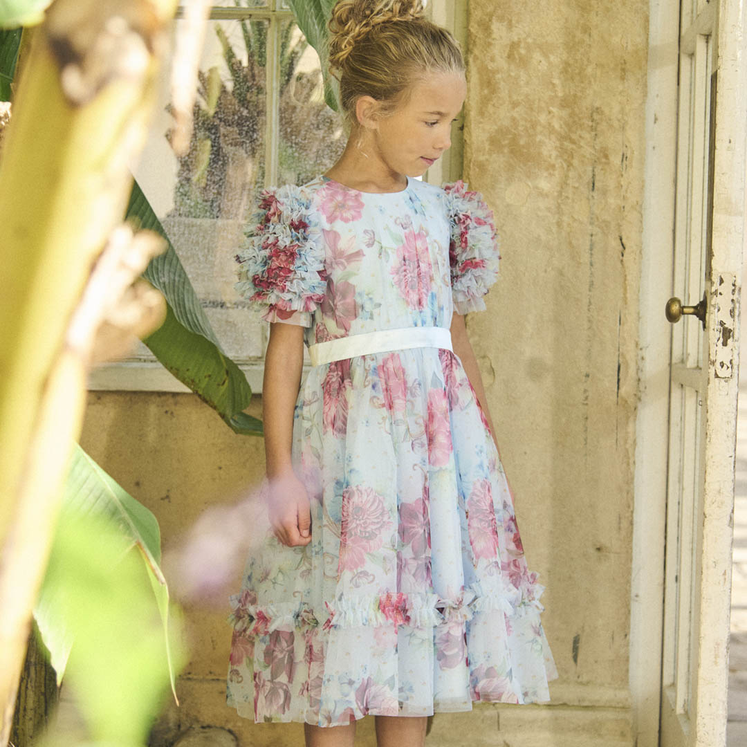 Florence Blue Ruffle Sleeve Mesh Dress