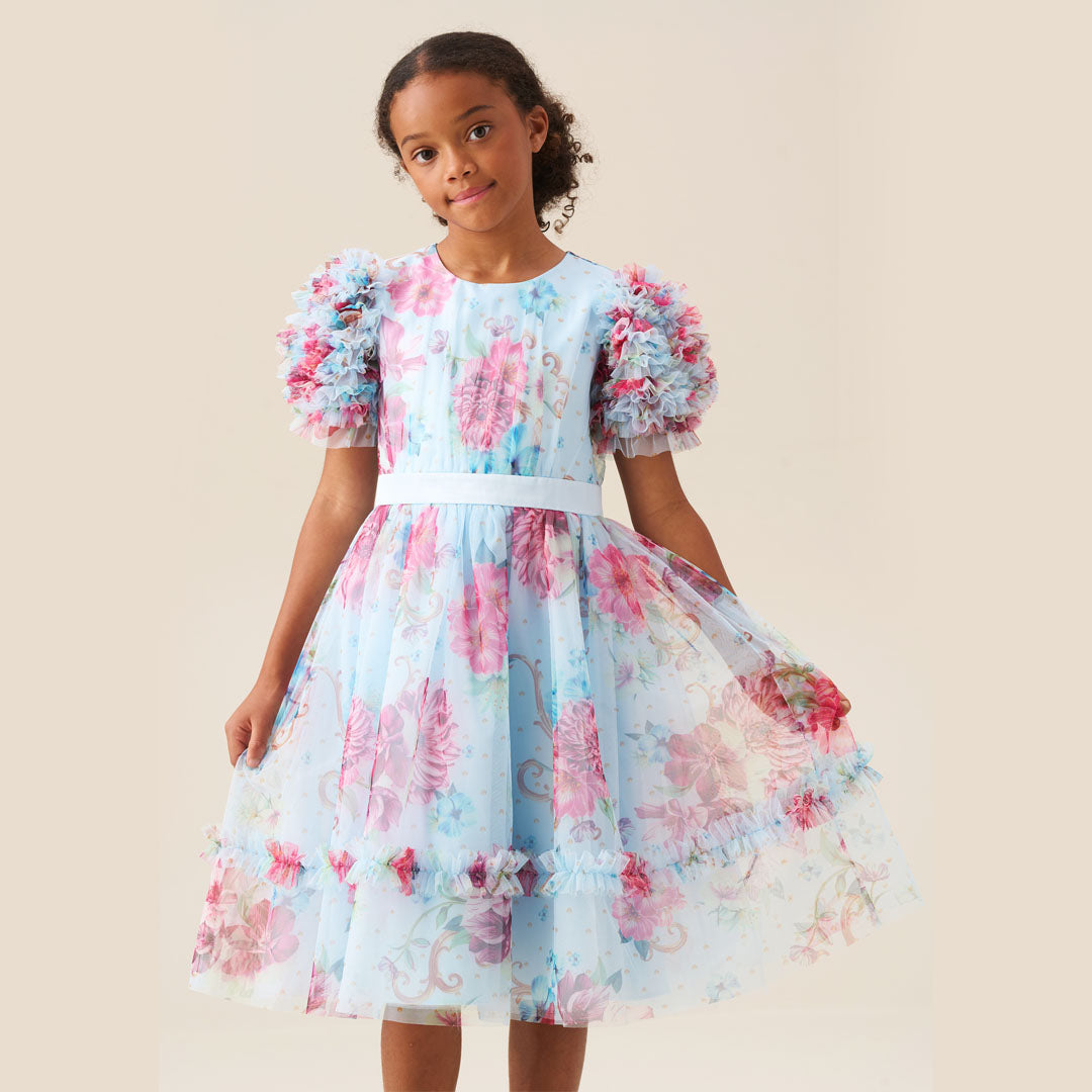 Florence Blue Ruffle Sleeve Mesh Dress