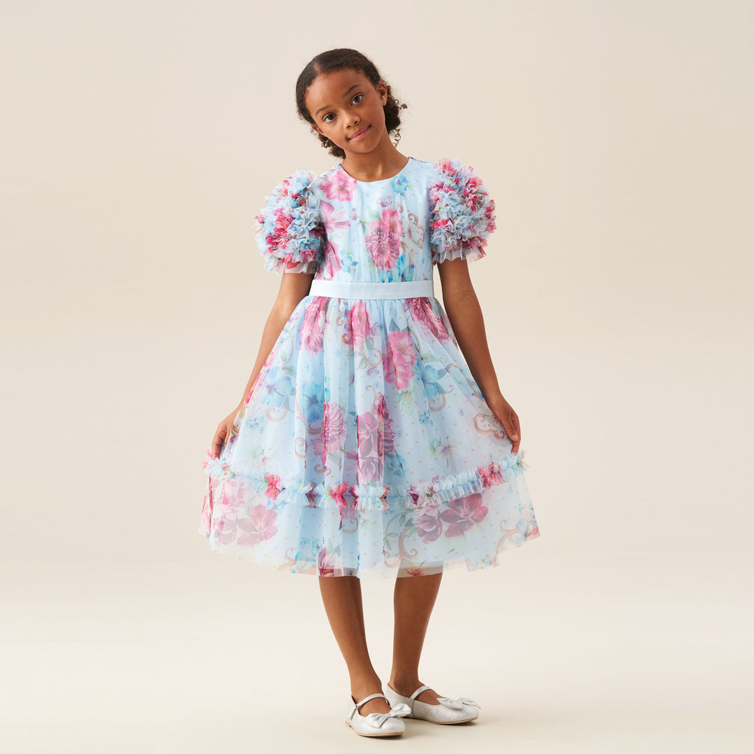 Florence Blue Ruffle Sleeve Mesh Dress