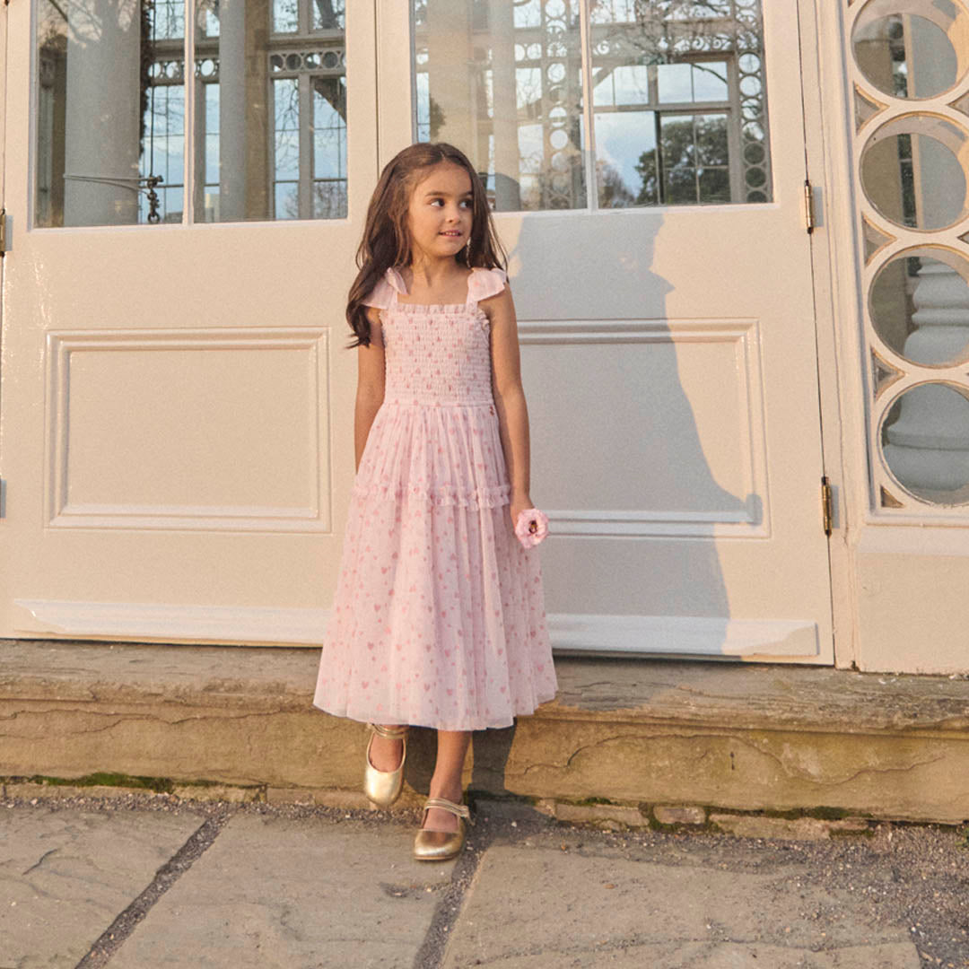 Vivi Heart Flock Tie Shoulder Mesh Dress