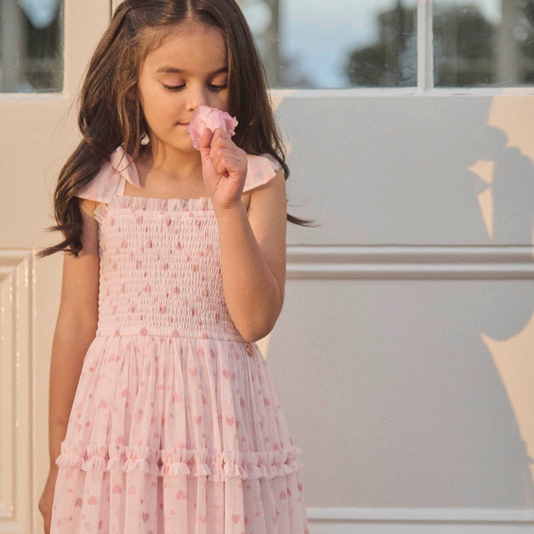 Vivi Heart Flock Tie Shoulder Mesh Dress