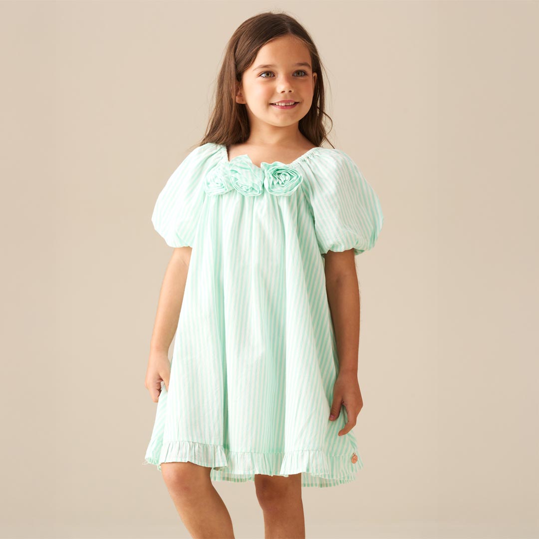 Coletta Corsage Stripe Swing Dress