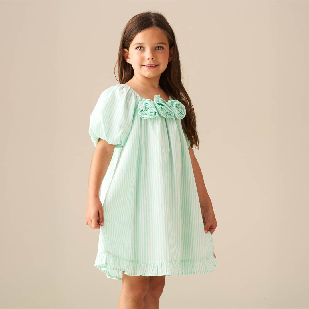 Coletta Corsage Stripe Swing Dress