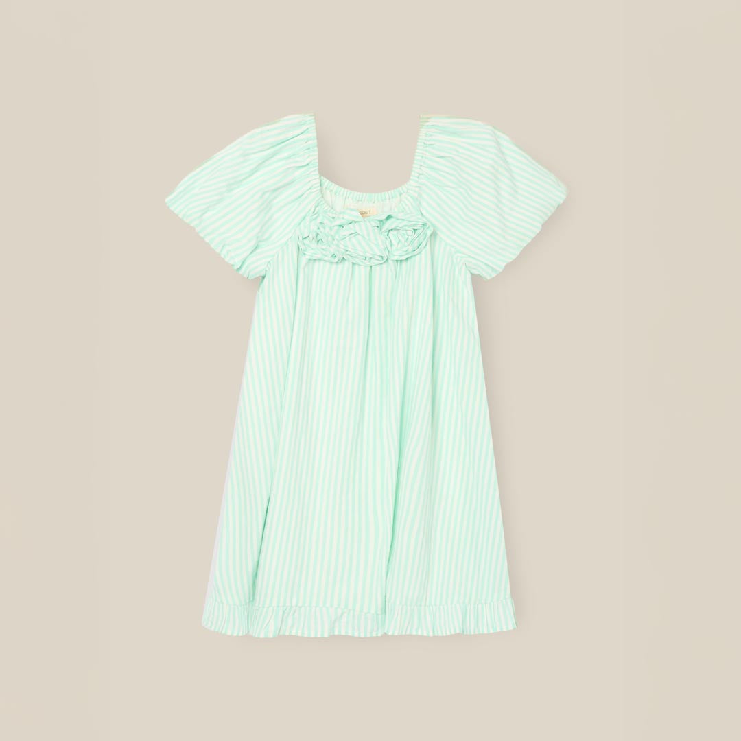 Coletta Corsage Stripe Swing Dress