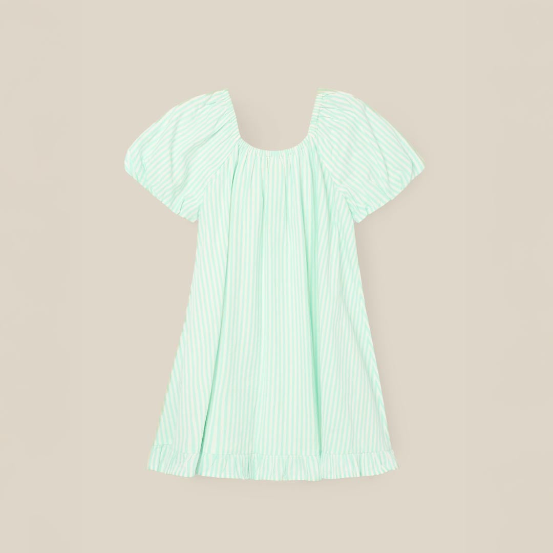 Coletta Corsage Stripe Swing Dress