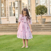 Rosa Pink Floral Mesh Dress