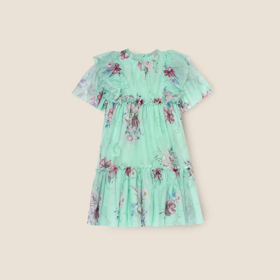 Rosa Mint Floral Mesh Dress