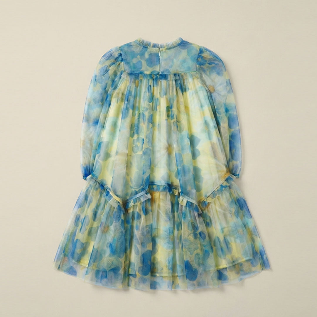 Beatrice Yellow Mesh Frill Daisy Print Dress - Angel & Rocket