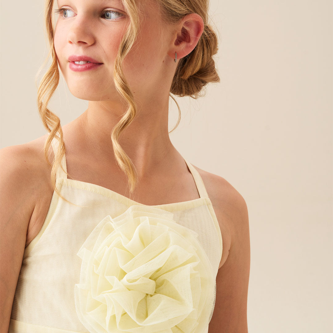 Lily Corsage Mesh Dress