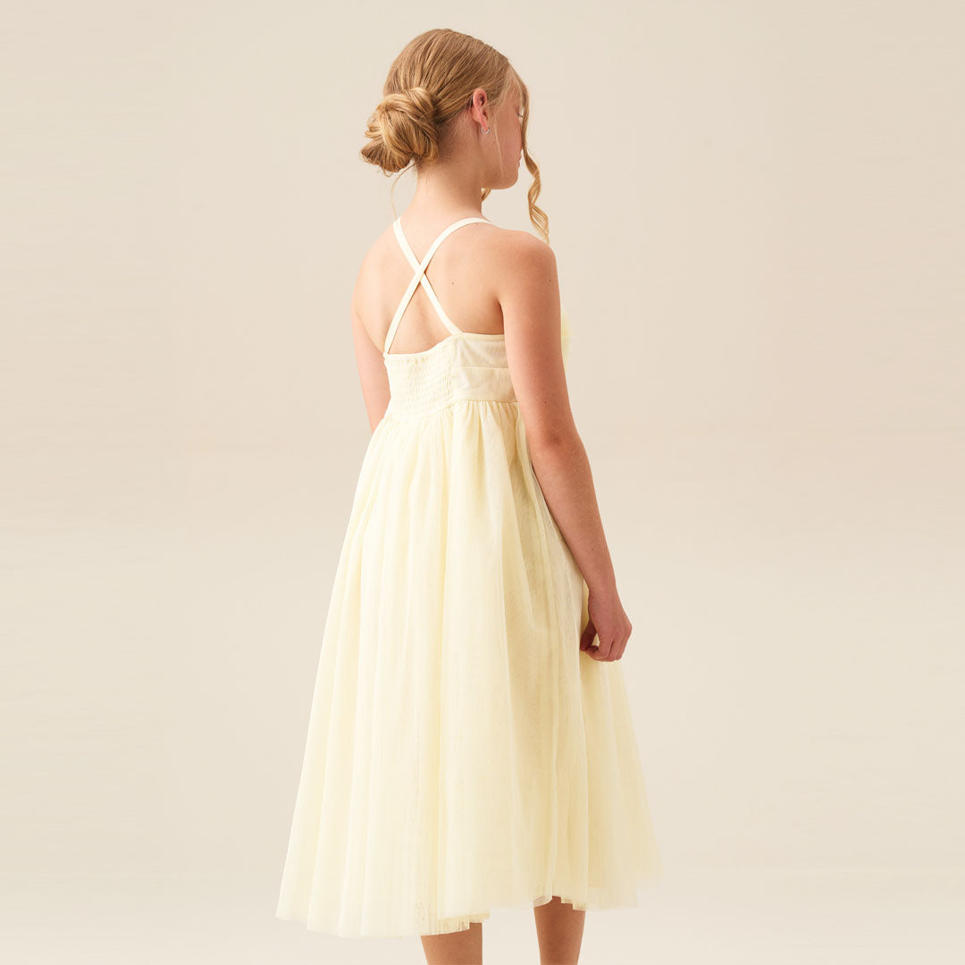 Lily Corsage Mesh Dress