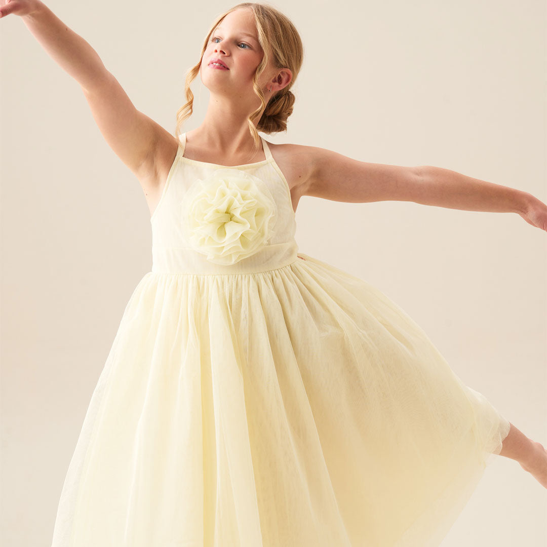 Lily Corsage Mesh Dress