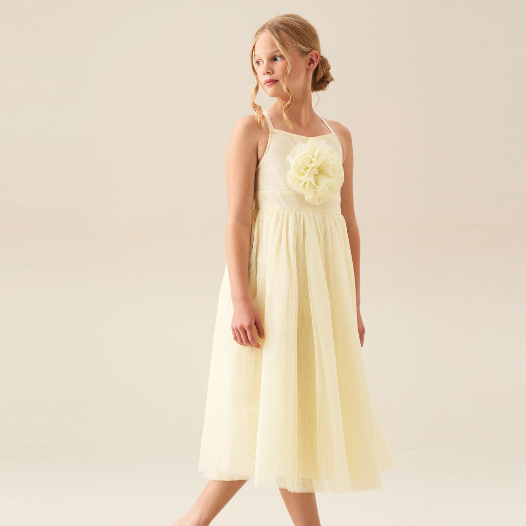 Lily Corsage Mesh Dress