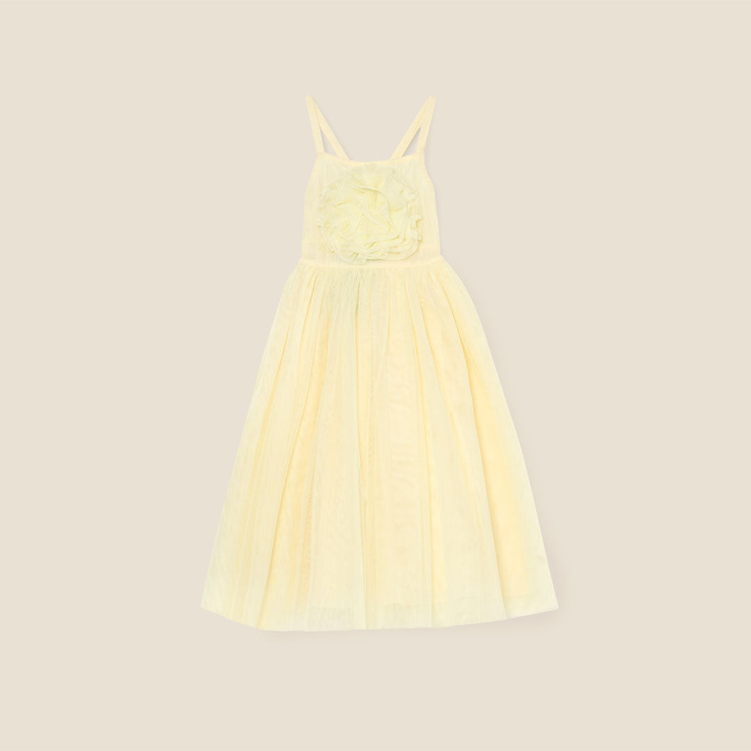 Lily Corsage Mesh Dress