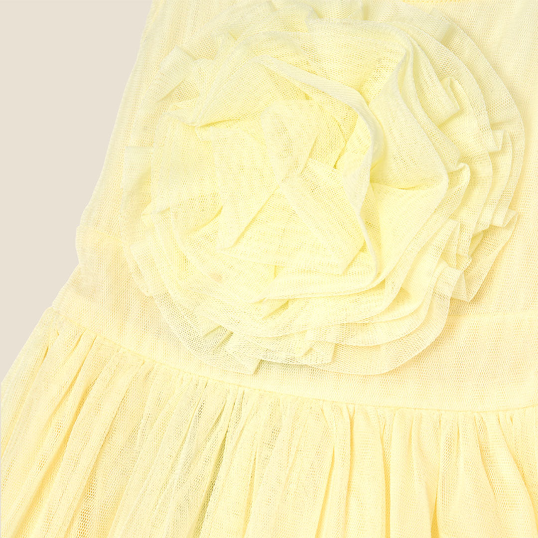 Lily Corsage Mesh Dress