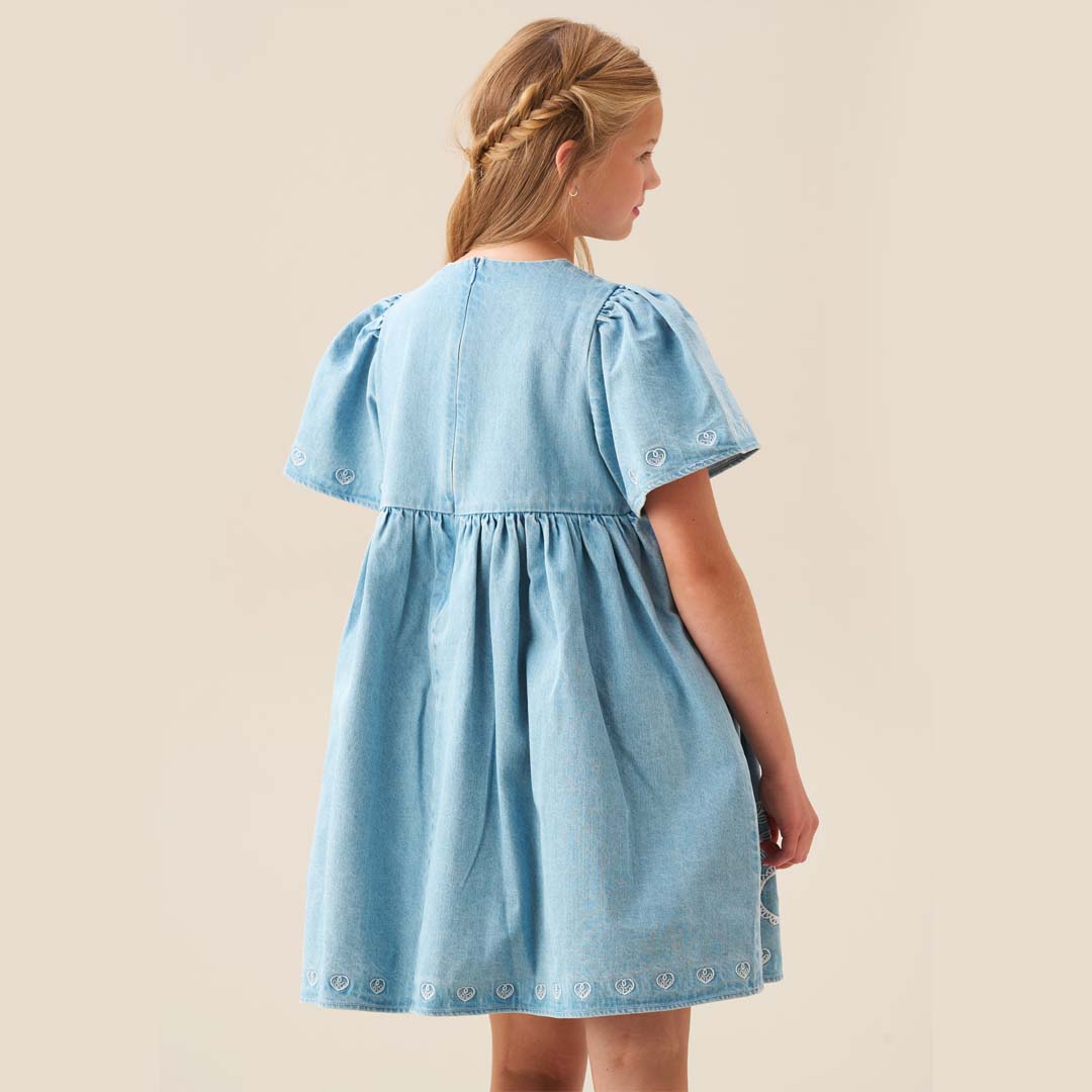 Reyna Denim Embroidered Swing Dress Blue