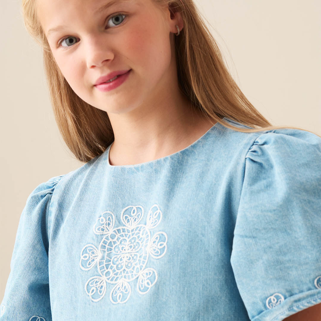 Reyna Denim Embroidered Swing Dress Blue