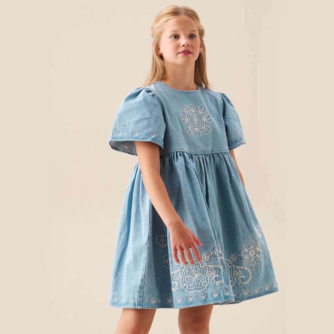 Reyna Denim Embroidered Swing Dress Blue