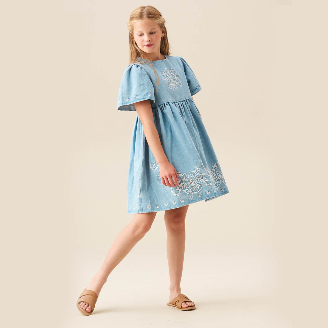 Reyna Denim Embroidered Swing Dress Blue