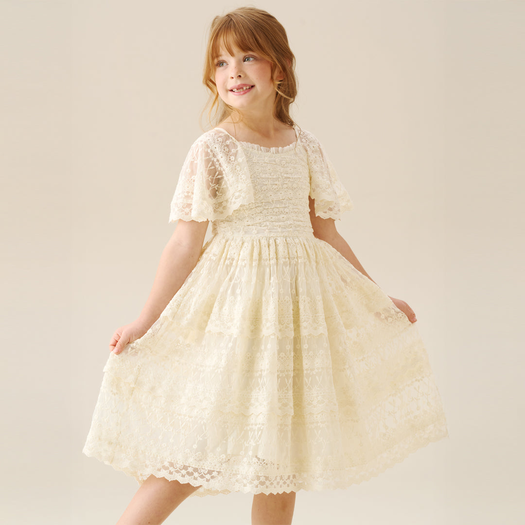 Annabelle Vintage Lace Mesh Dress