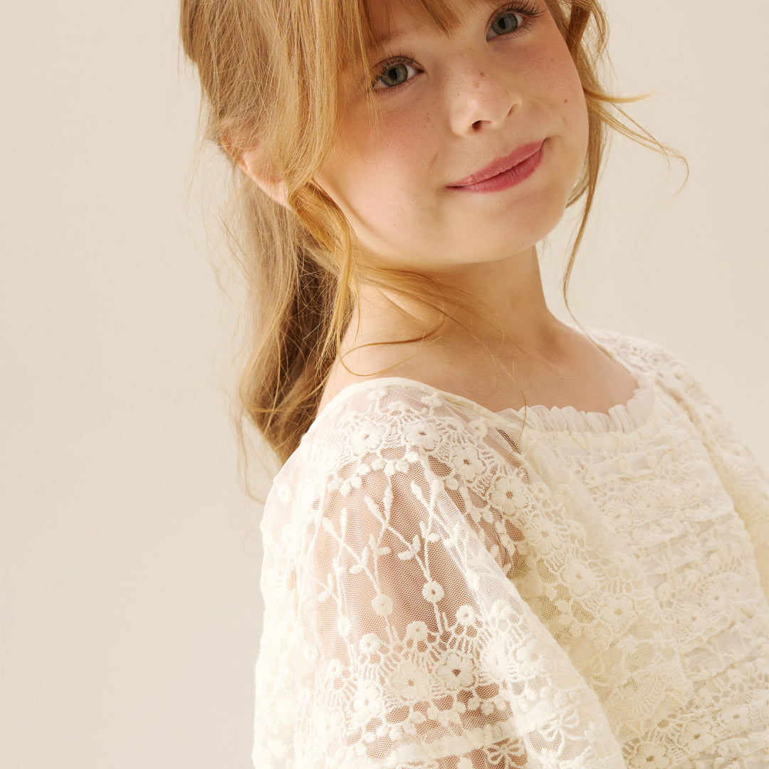 Annabelle Vintage Lace Mesh Dress