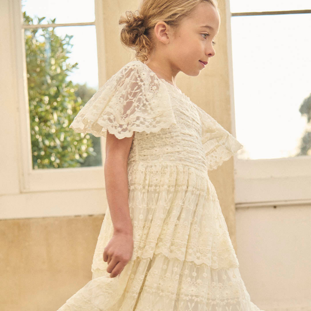 Annabelle Vintage Lace Mesh Dress