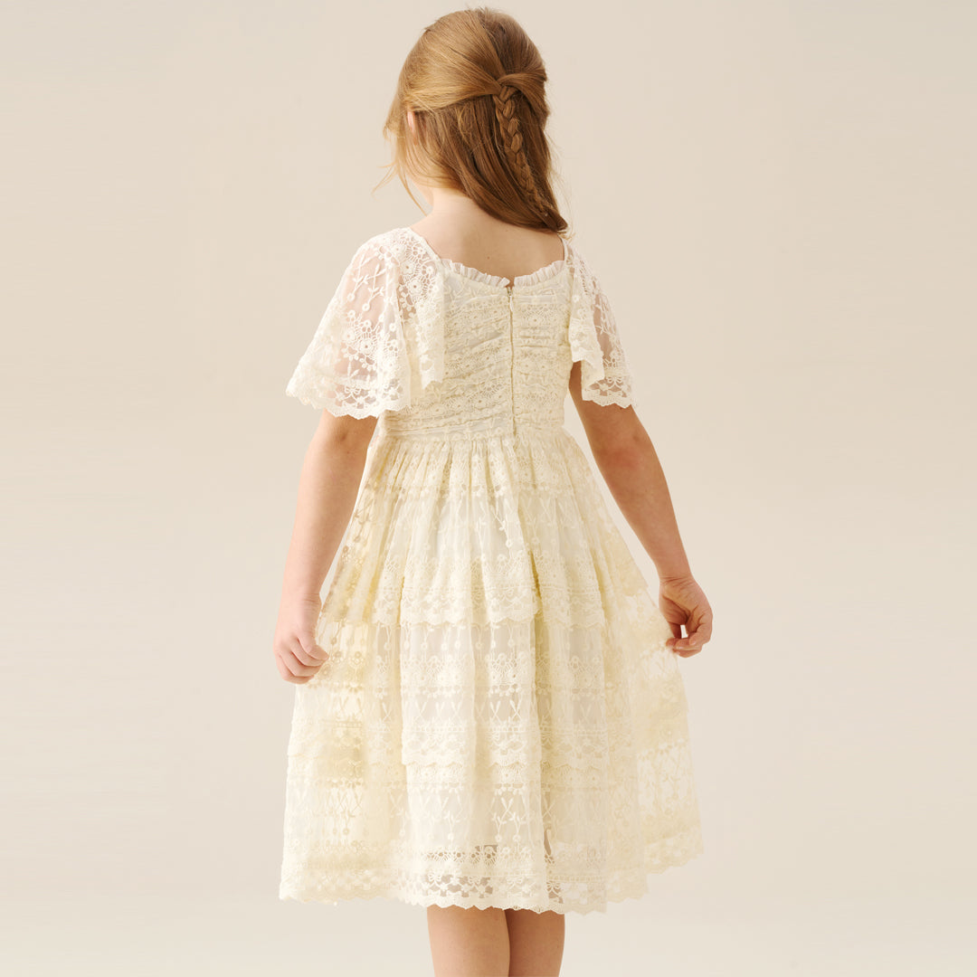 Annabelle Vintage Lace Mesh Dress