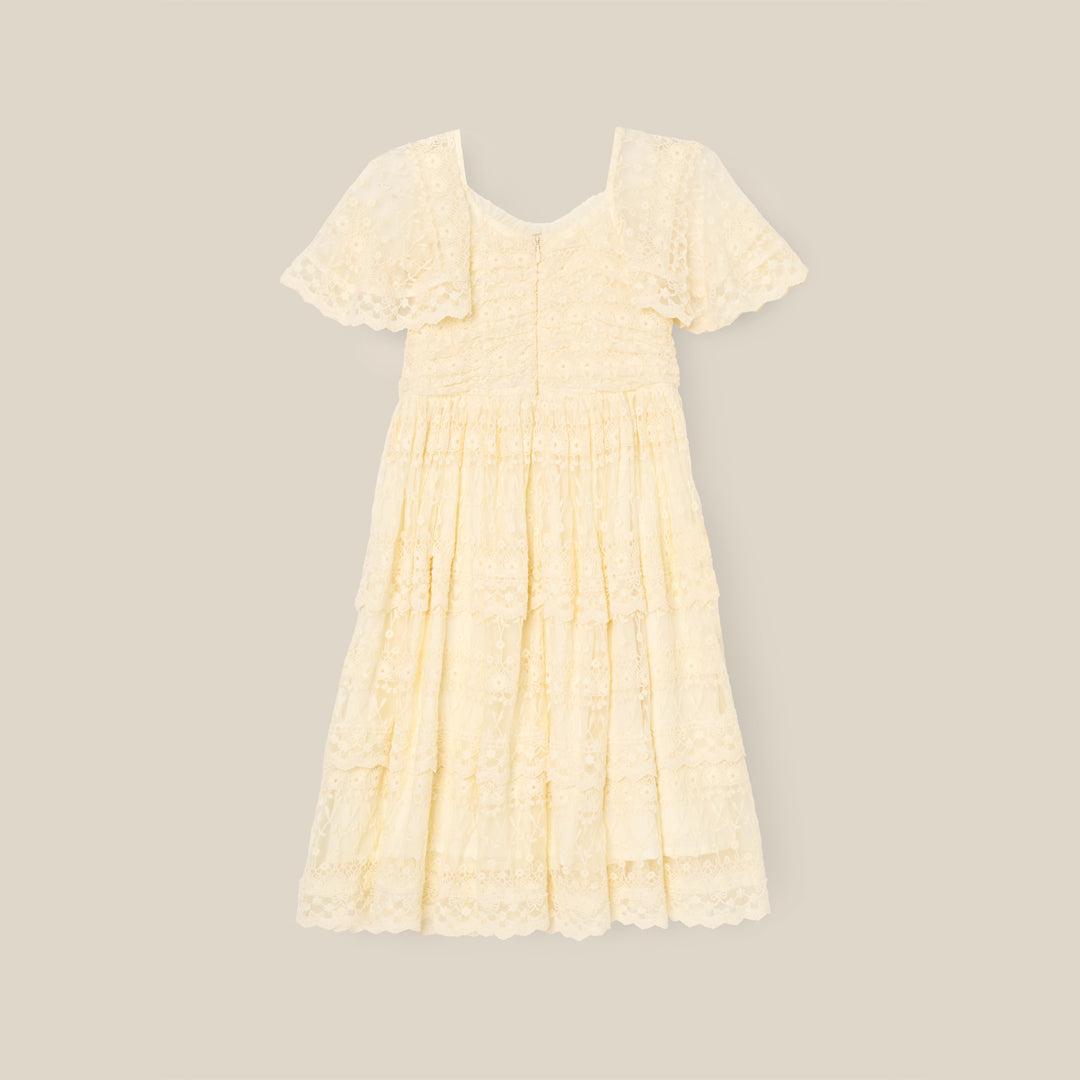 Annabelle Vintage Lace Mesh Dress