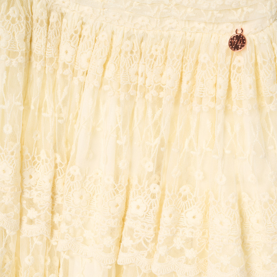 Annabelle Vintage Lace Mesh Dress