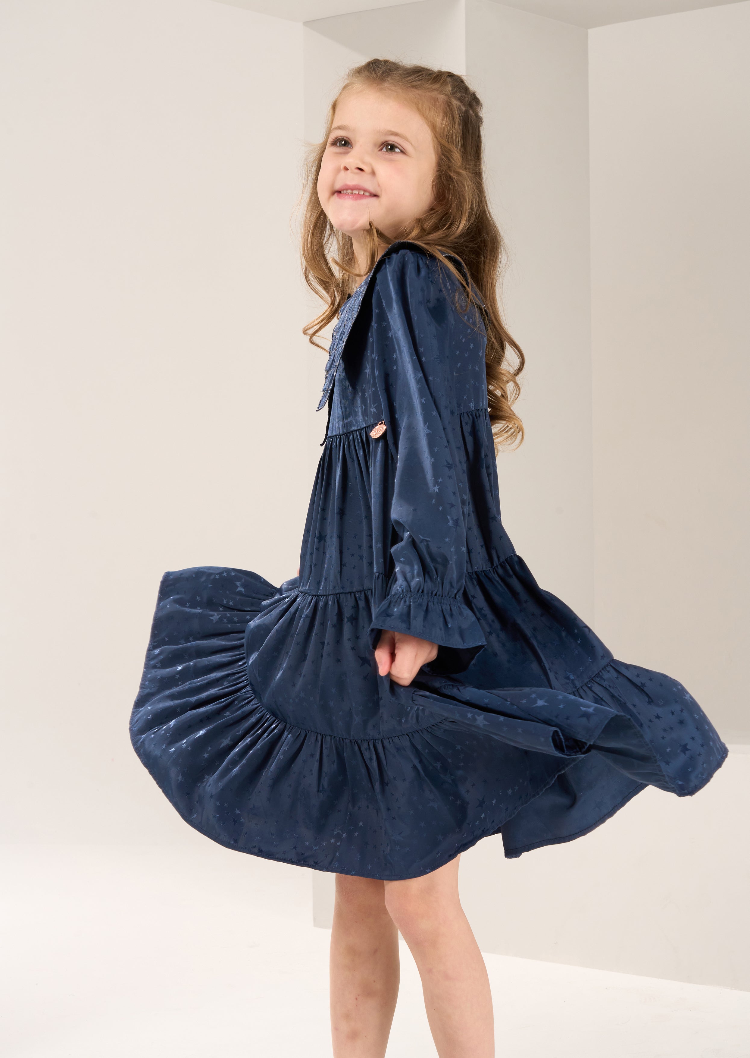 Sophia Navy Jacquard Star Dress
