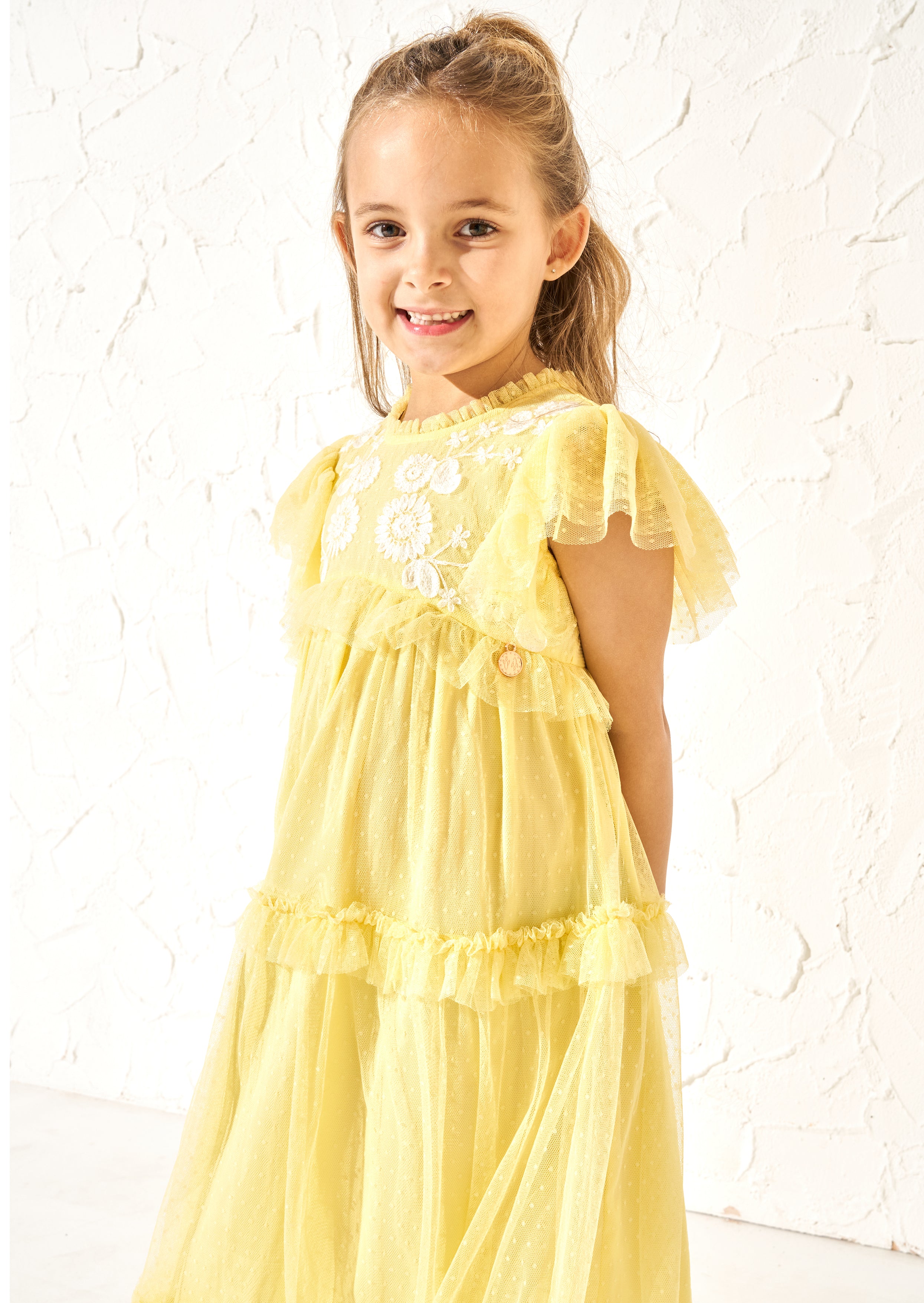 Luisa Yellow Embroidered Mesh Dress
