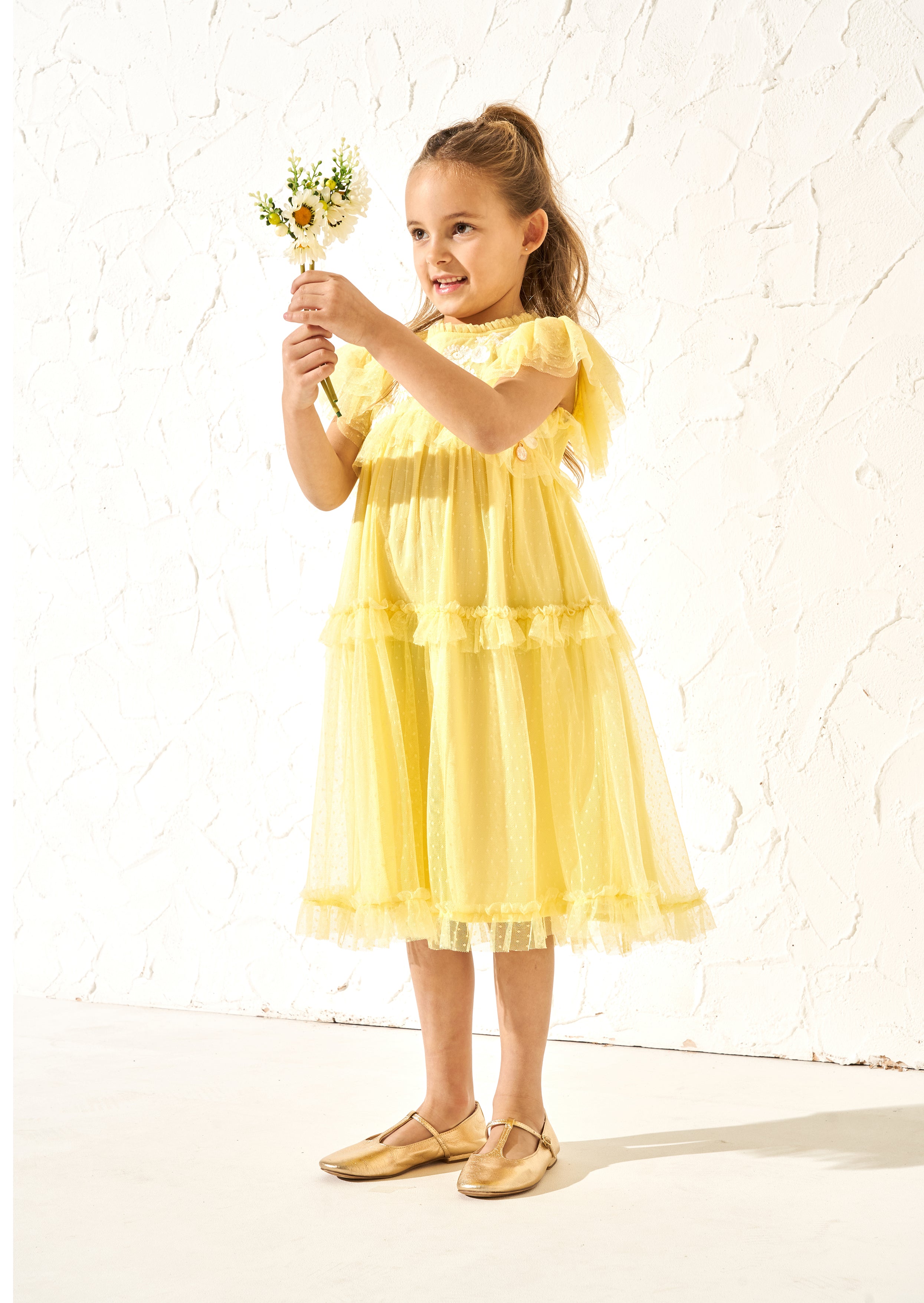 Luisa Yellow Embroidered Mesh Dress