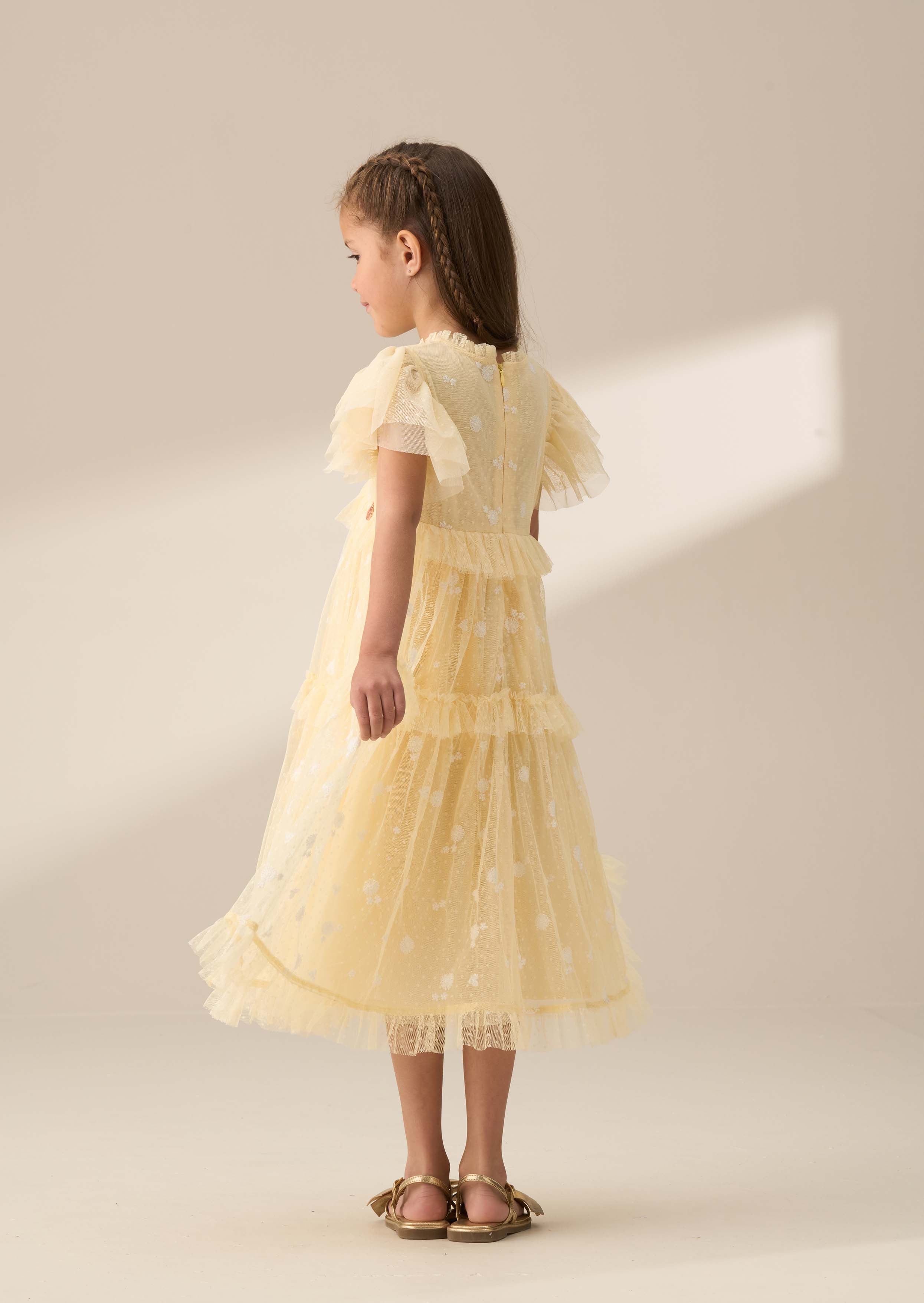 Girl Dress Embroidery