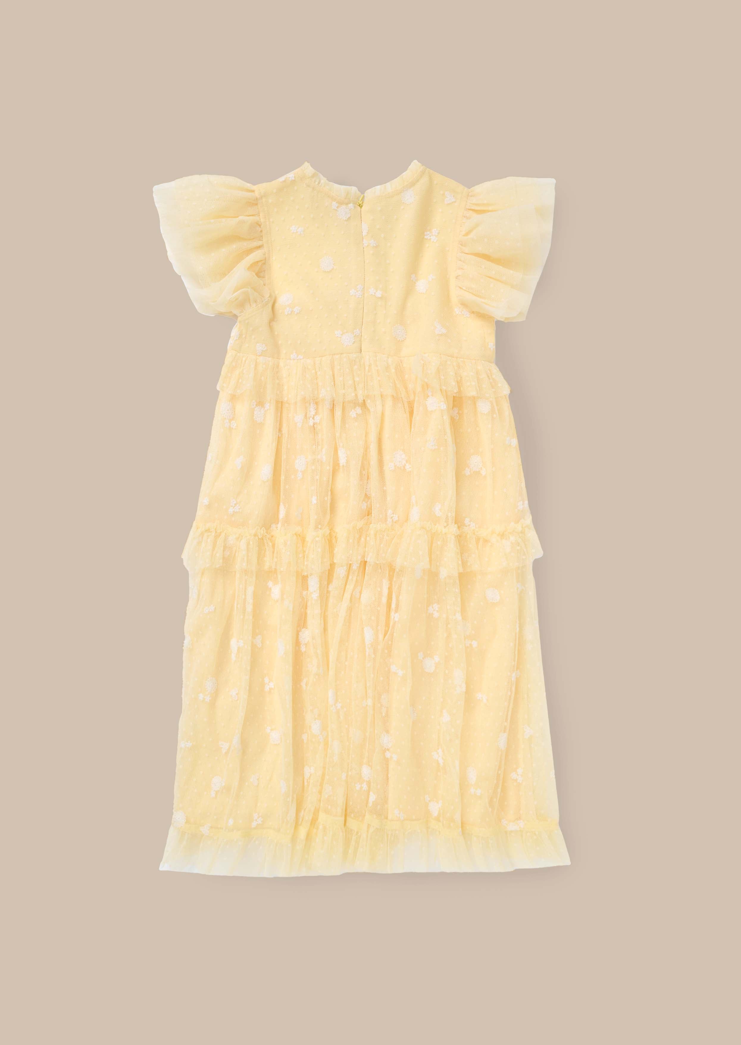 Shortsleeve Sunshine Embroidered Mesh Dress