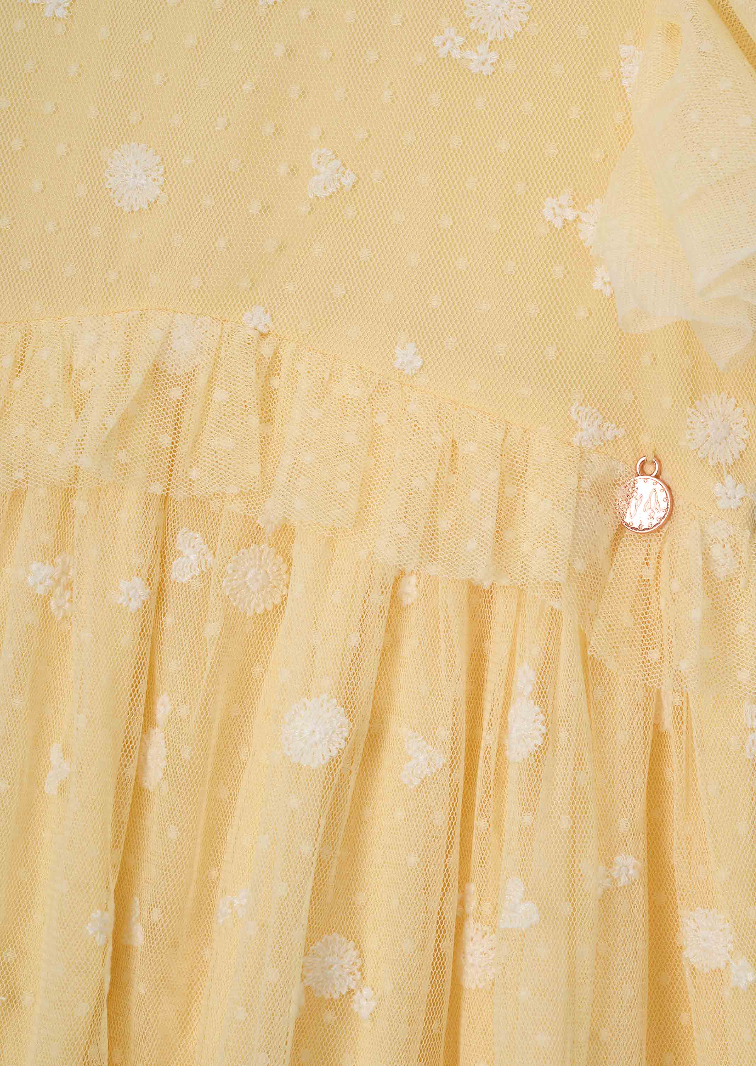 Buy Online Sunshine Embroidered Mesh Dress