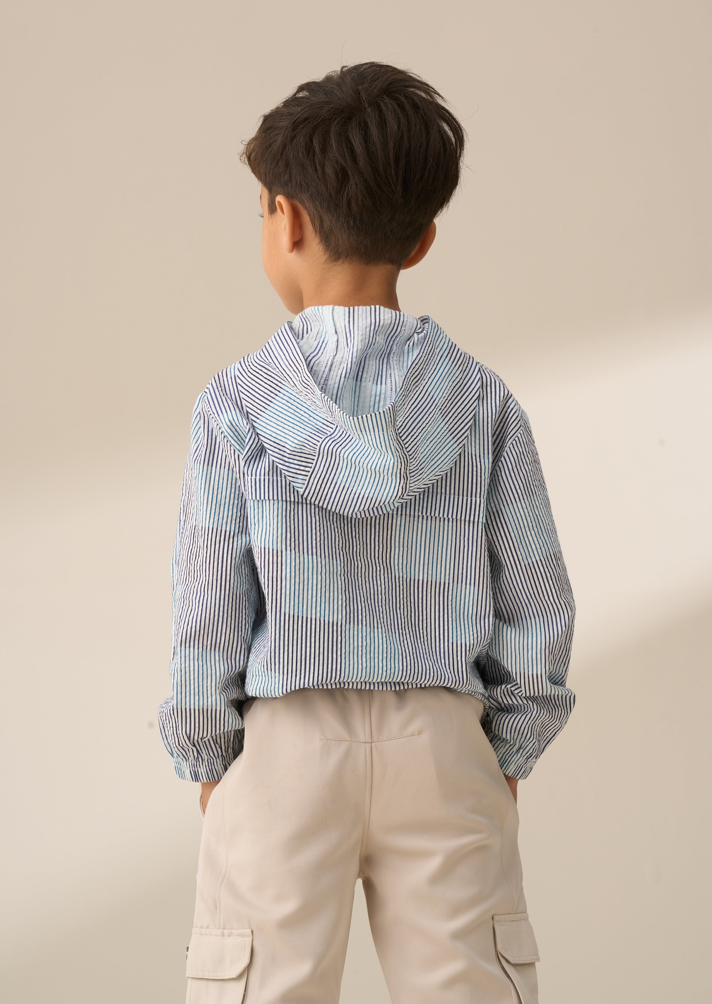 Blue Striped Shirt Combination