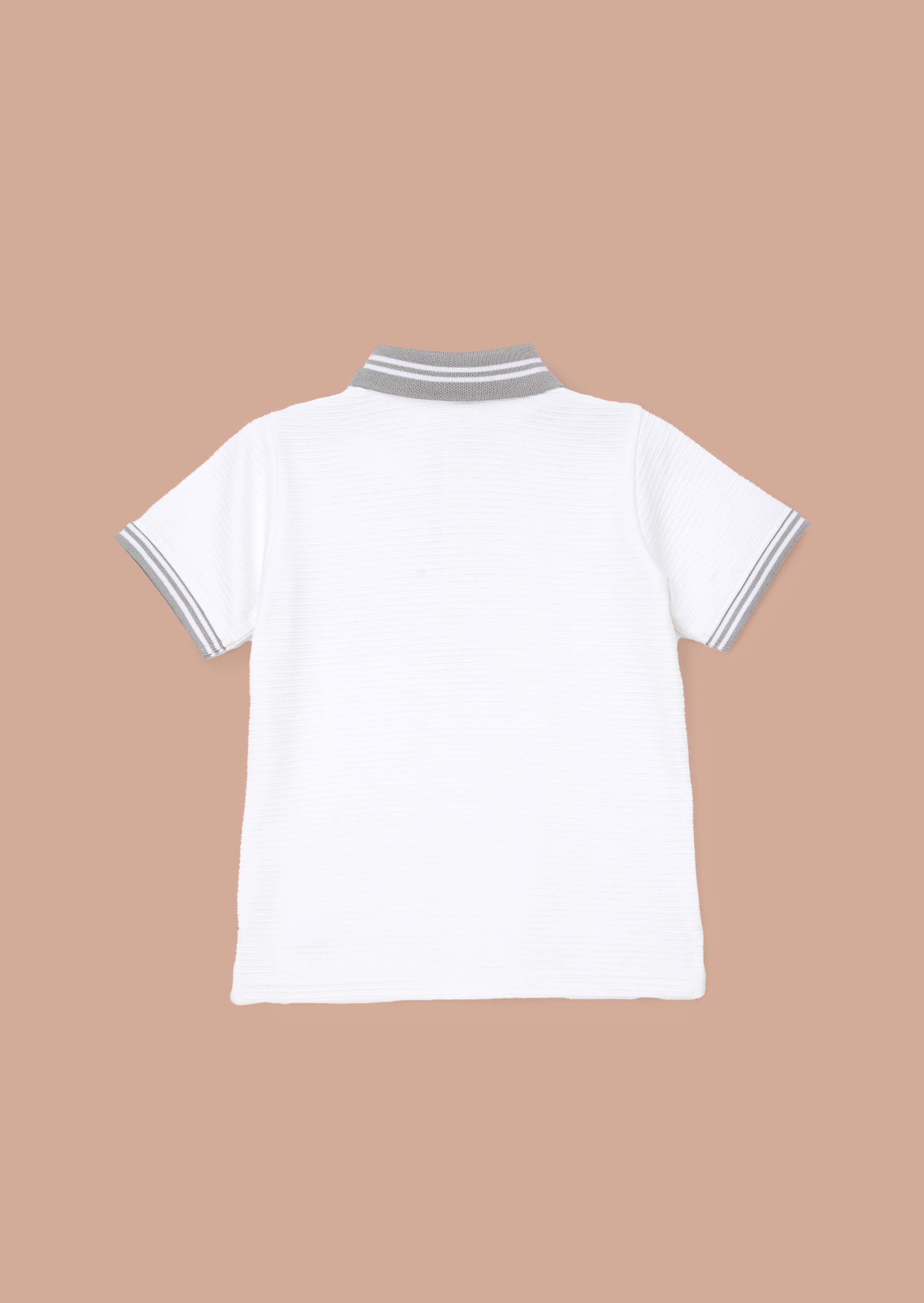 Buy White Colour Block Polo