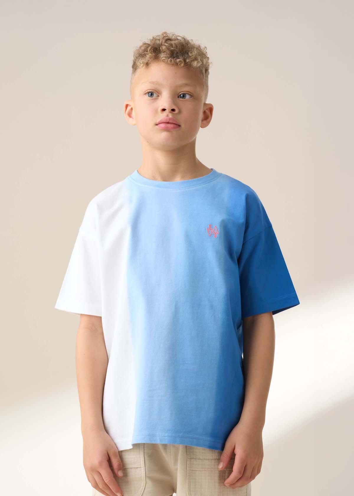 Brad Blue Ombre Washed T Shirt