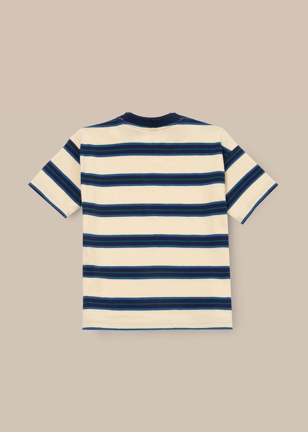 Boy Yarn Dyed Stripe T-Shirt outfit