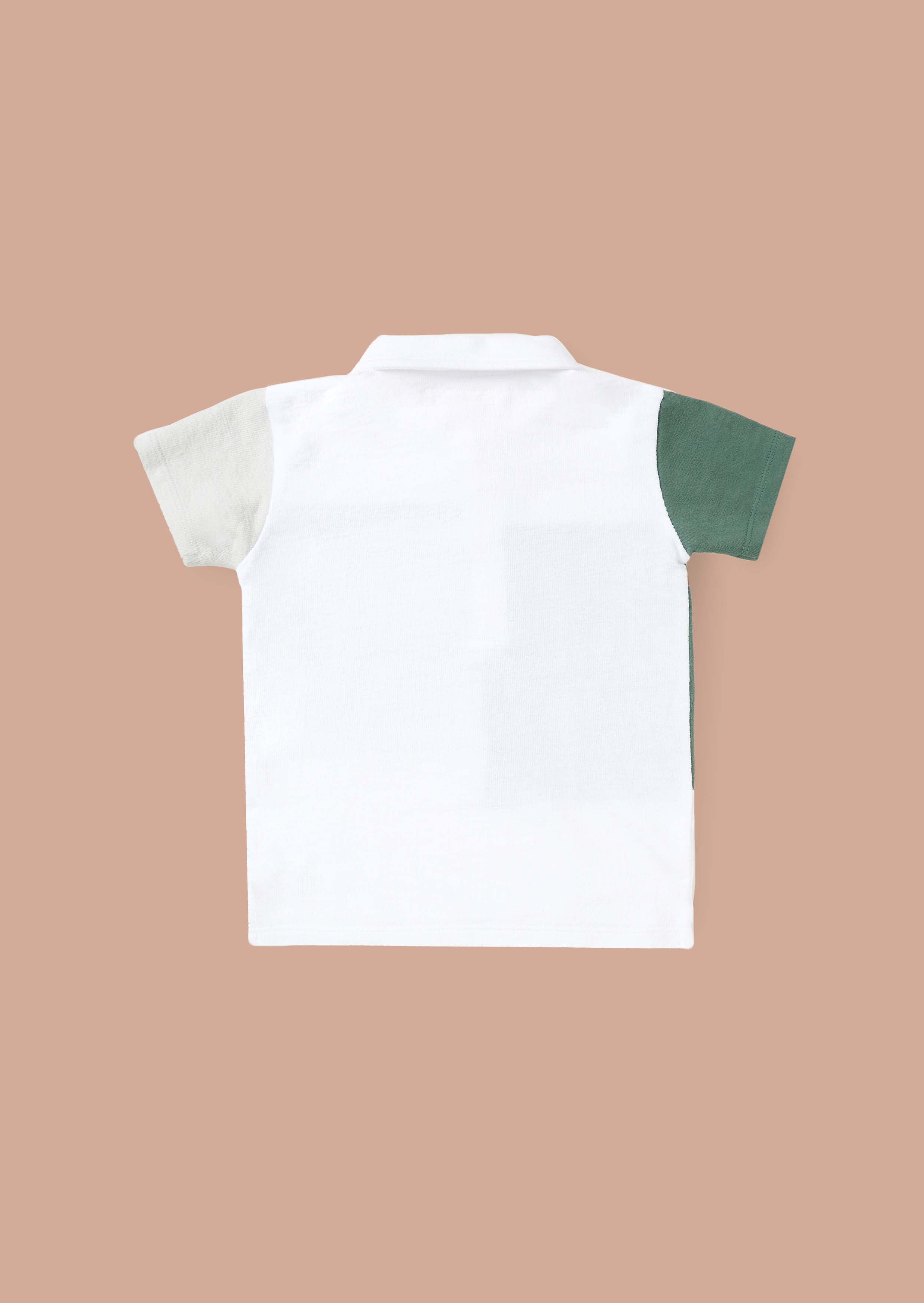 Buy Textured Colour Block Polo